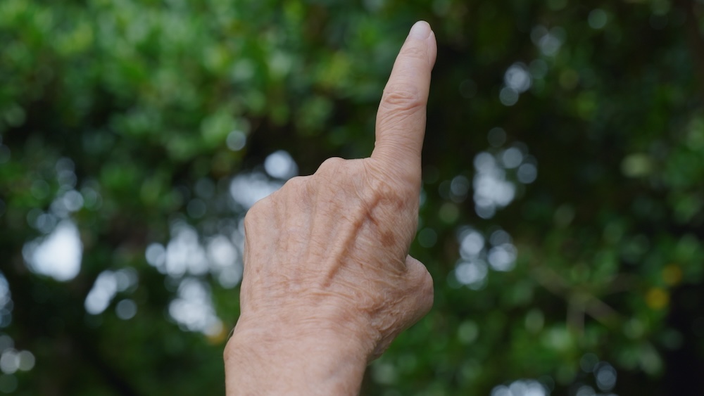 山城知佳子《Recalling(s)》2025年<br />
© Chikako Yamashiro. Courtesy of the artist