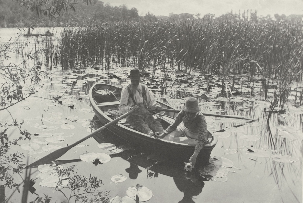 Peter Henry Emerson, Valentine & Sons, Marston Sampson Low, Gathering Water Lilies, 1886　<br />
Photo © GrandPalaisRmn (musée d’Orsay) / Hervé Lewandowski / distributed by AMF